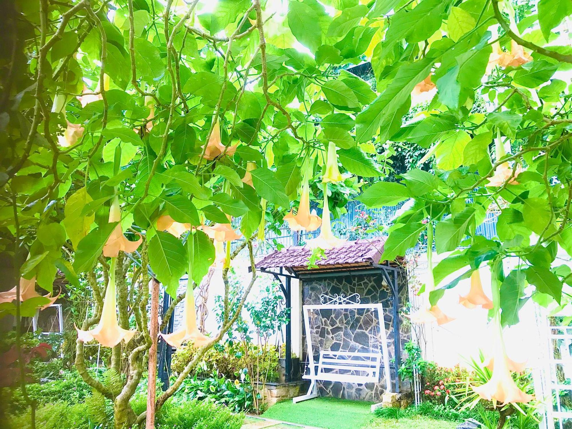 Hotel Hoa Nắng Bảo Lộc Ngoại thất bức ảnh