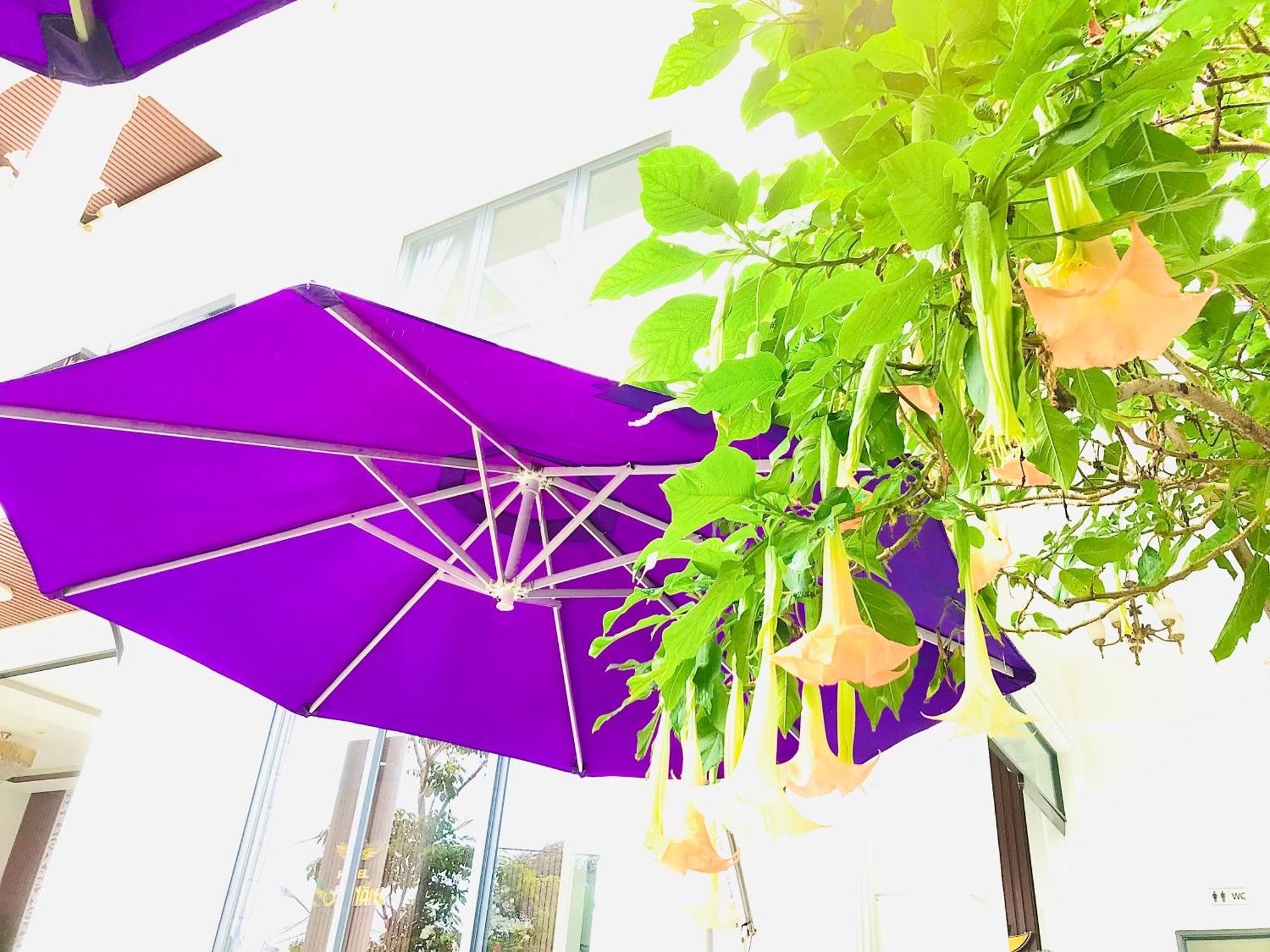 Hotel Hoa Nắng Bảo Lộc Ngoại thất bức ảnh