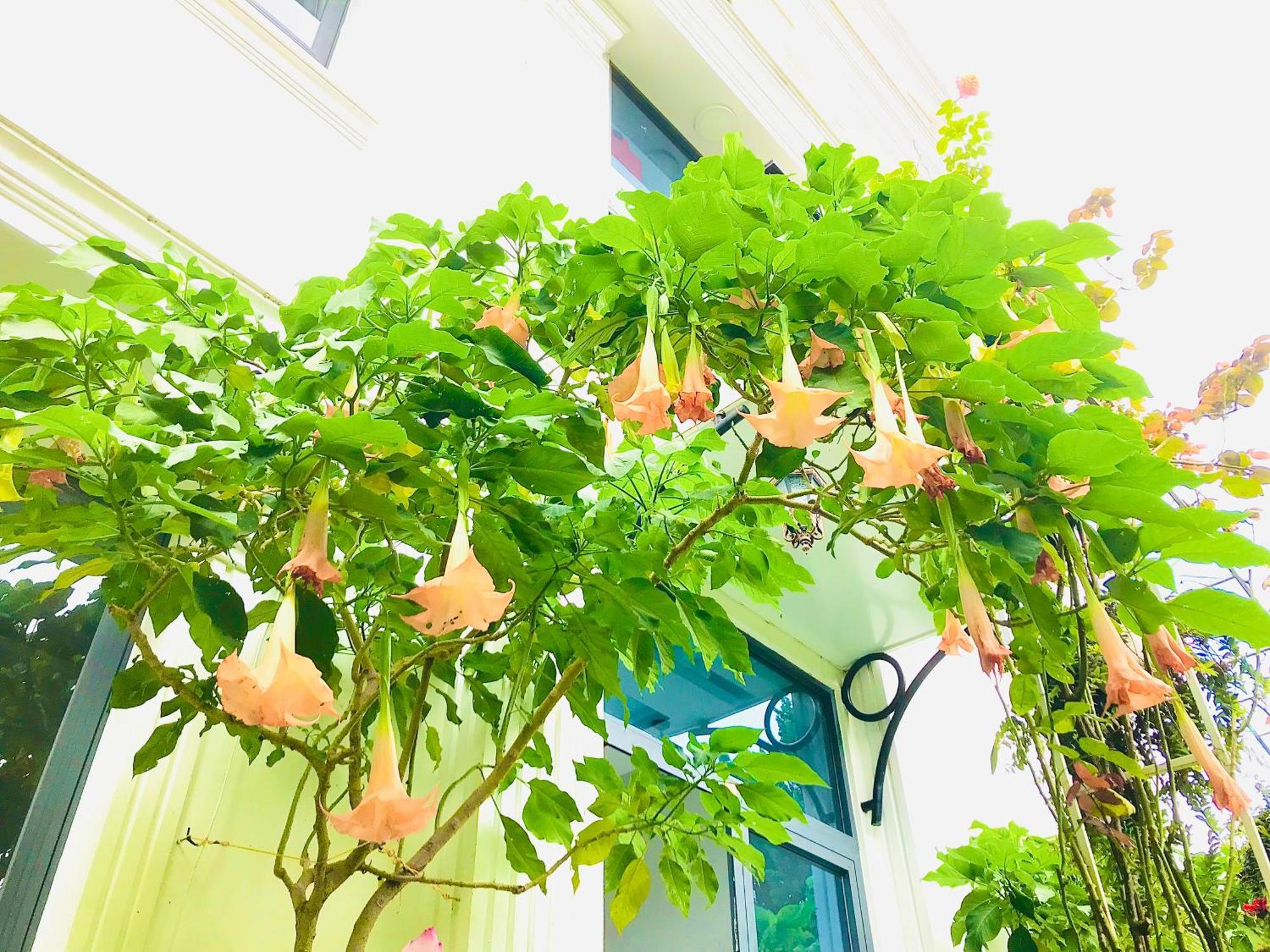 Hotel Hoa Nắng Bảo Lộc Ngoại thất bức ảnh
