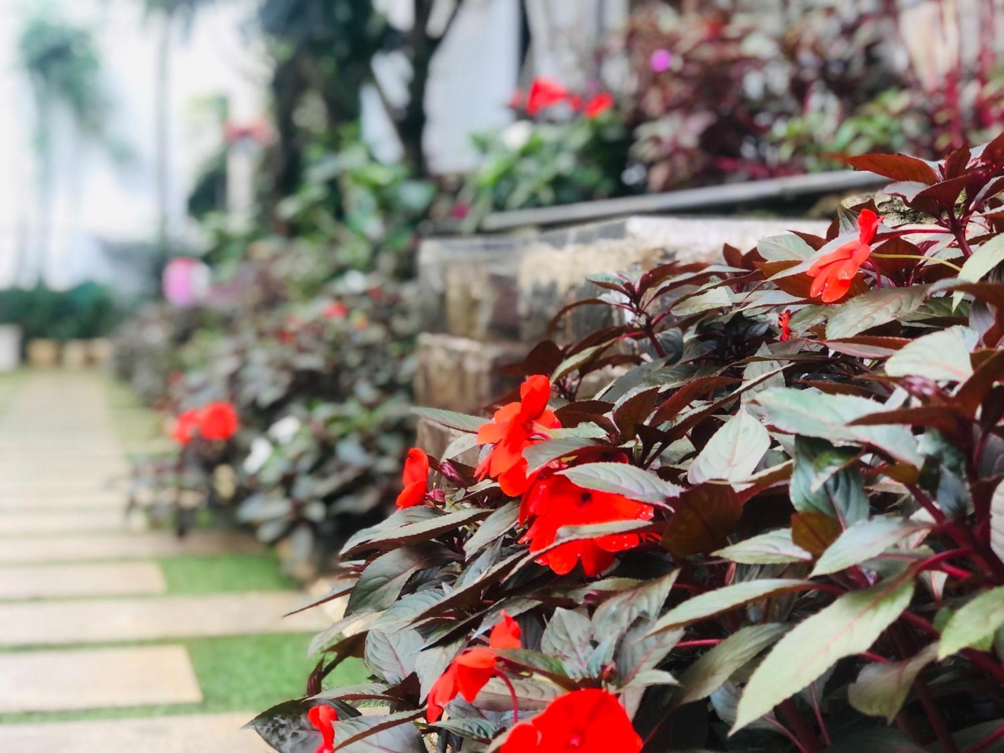 Hotel Hoa Nắng Bảo Lộc Ngoại thất bức ảnh